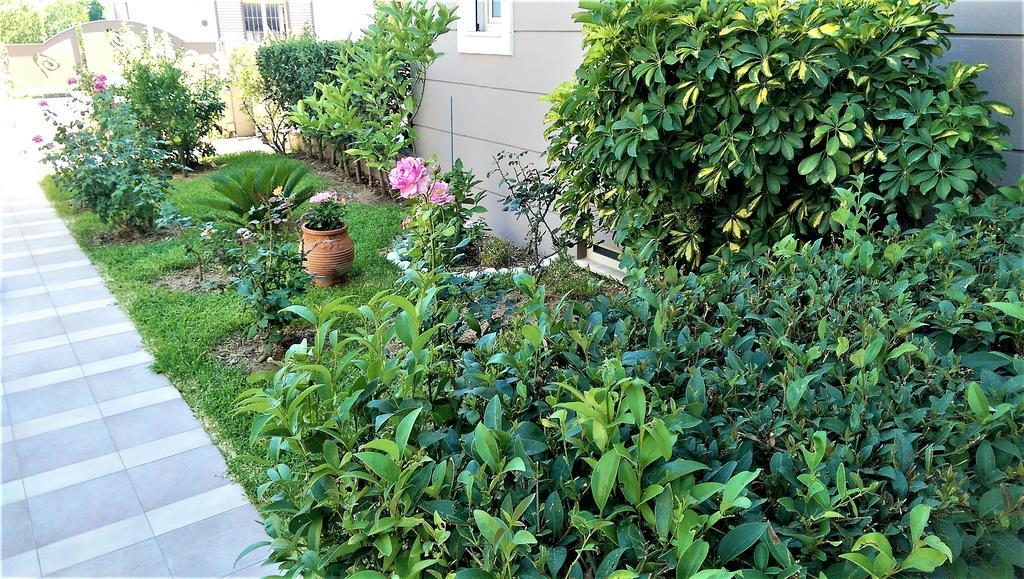 Maria'S Rose Garden Apartment Lefkada City Exterior photo